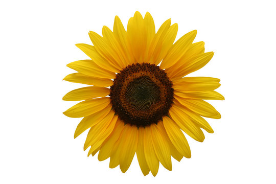 360_F_1399409_VqflrTCSL5PdFUjpRfZfGVF0bhRBQf 360_F_1399409_VqflrTCSL5PdFUjpRfZfGVF0bhRBQf